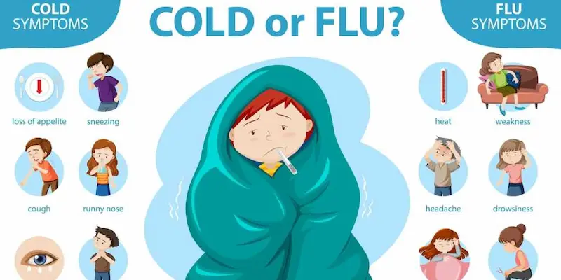 common cold and flu